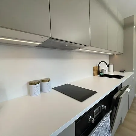 Vip Apartament Kopisto -centrum *